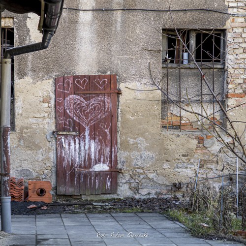 023-_MG_2488