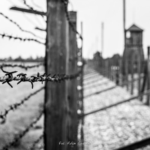 004-_MG_1915