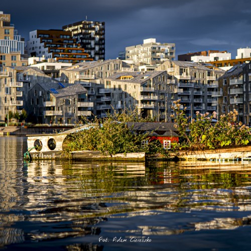 027-_MG_2074