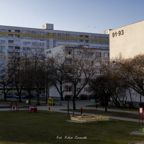 020-_MG_1918