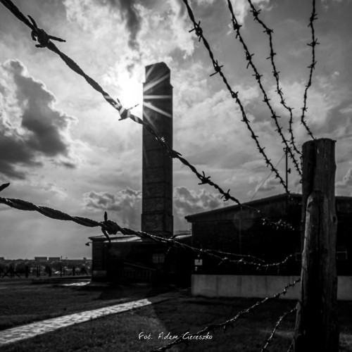 011-_MG_2143