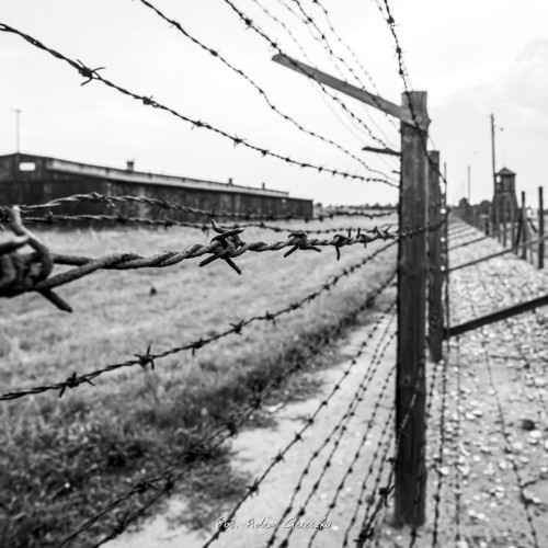 008-_MG_1917