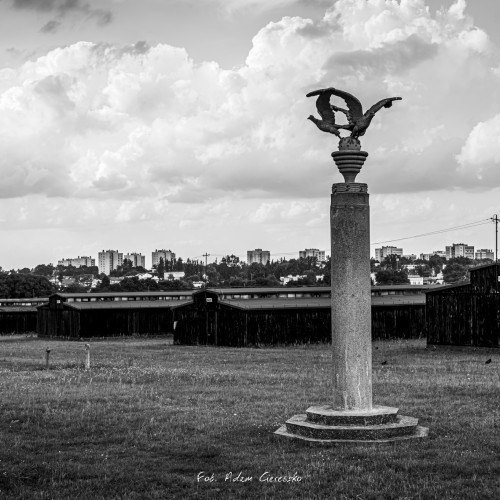 010-_MG_1952